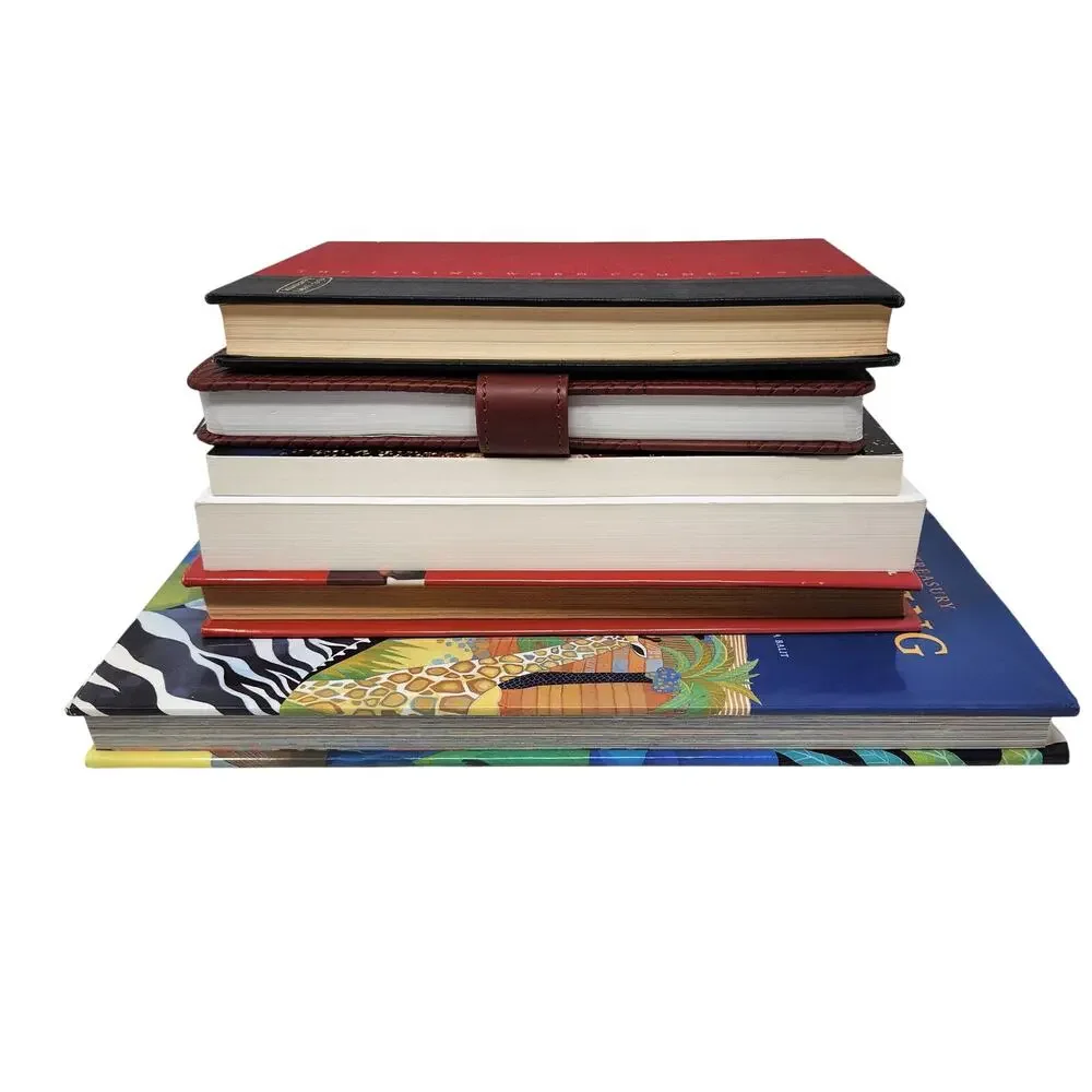 Lot Of 6 Assorted Christian Christianity Religious Book Bundle with 2017 Journal